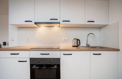 Greifswald Appartement | Appartement 'Modernes Loft In Greifswald' avec balcon et Wi-Fi