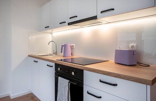 Greifswald Appartement | Appartement "Modernes Loft Mit Terrasse" avec jardin privé et Wi-Fi