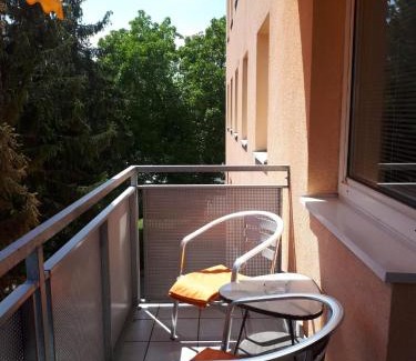 Schallmoos Appartement | Apartment Nannerl
