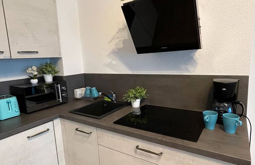 Bad Bergzabern Appartement | Appartement "Neue Orchideen-apartments Im Haus" avec jardin partagé, balcon et Wi-Fi