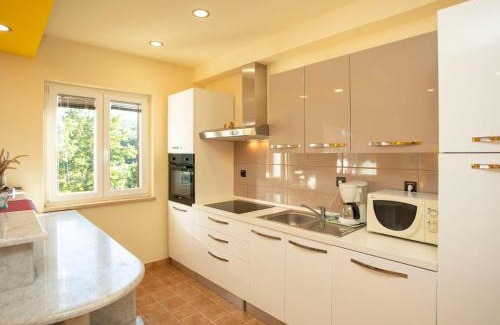 Pican Appartement | Apartment Olivia by Interhome