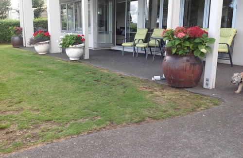 Hilltop Appartement | Appartement sur Crowther