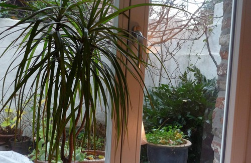Kaiserswerth Appartement | Appartement sur Mühlenturm