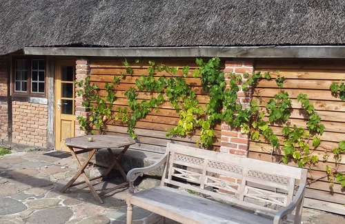 Kalkhorst Appartement | Apartment on the Baltic Sea in the beautiful Leonora forest