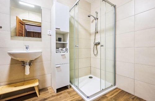 Nova Ves nad Nisou Appartement | Apartment Pod Černou Studnicí-1 by Interhome