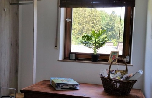 Deuselbach Appartement | Appartement Räuberhöhle