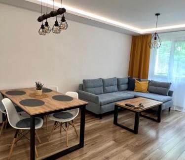 Radvan Appartement | Apartment R&L Švermová - 2 min ESC, balcony