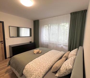 Radvan Appartement | Apartment R&L Švermová - 2 min ESC, balcony