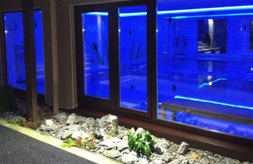 Bad Salzuflen Appartement | Résidence d'appartements au Kurpark (app.31) piscine / sauna