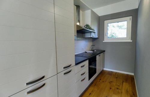 Samolaco Appartement | Apartment Ronscione Bellavista by Interhome