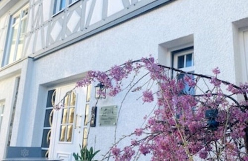Hoehr-Grenzhausen Appartement | Apartment Rose with 35 sqm - in the Château d'Esprit