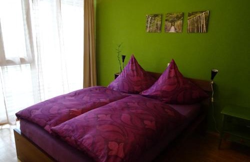 Konstanz Appartement | Apartment Schultheiss