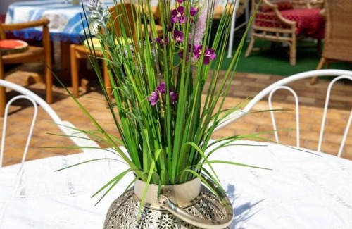 Grossheppach Appartement | Apartment Sila 1 with 50sqm, 1 bedroom for max. 6 people