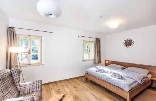 Horni Plana Appartement | Apartment Slunečná by Interhome
