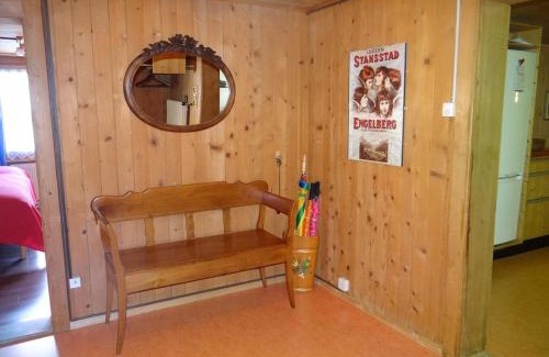 Engelberg Appartement | Apartment Steinacher 7 by Interhome