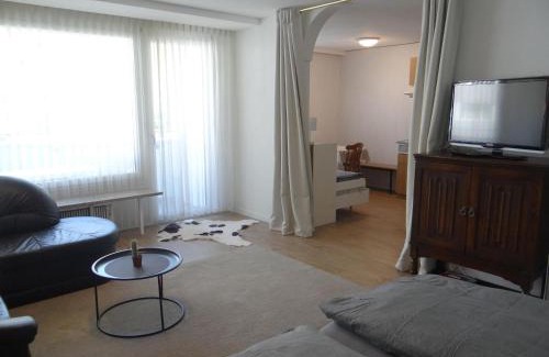 Engelberg Appartement | Apartment Sunnmatt 752 by Interhome