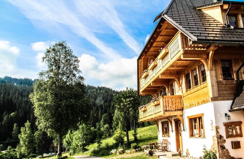 Hinterzarten Appartement | Apartment 'Titisee' with Mountain View, Private Terrace and Wi-Fi