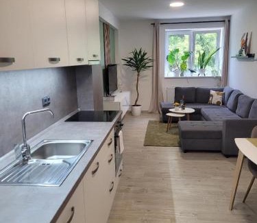Bohemian-Moravian Highlands Appartement | Apartment u Ježků