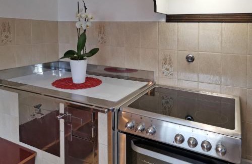 Studor Appartement | Apartment V&N, LAKE BOHINJ
