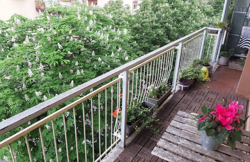 Verona City Centre Appartement | Apartment Verona with river view Appartamento Adige IT023091C2QTE3DV38