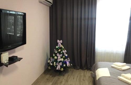 Kamenets-Podol'skiy Appartement | Apartment Vid na Krepost