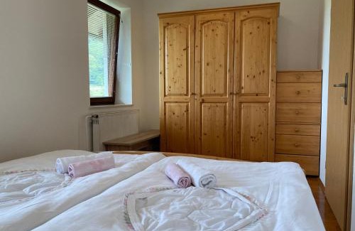 Praprotna Polica Maison | Apartment Vrtacnik