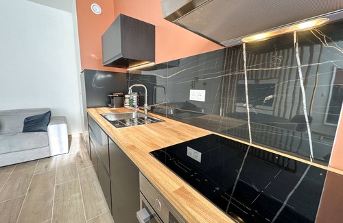 Vauban - Wazemmes Appartement | Le Bijou - Appartement, Sauna et Jacuzzi - Lille