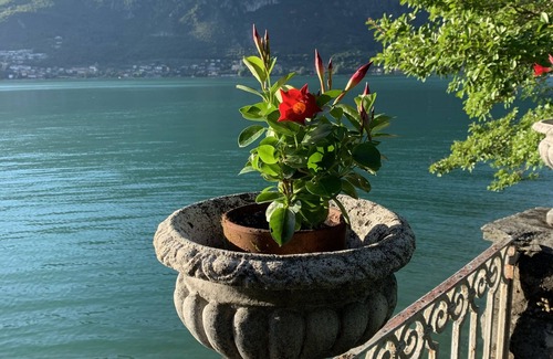 Claino Con Osteno Appartement | Apartment with garden, direct access to the lake in ancient villa