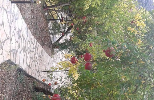 Kumluca Cabine | Apartment with 4 beds: small balcony and large veranda - holiday home Waldwilla-Waldapart