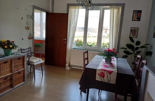 Sint-Agatha-Berchem Appartement | Apartment with terrace in Berchem-Sainte-Agathe