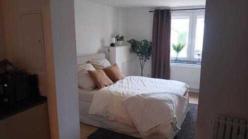 Bad Pyrmont Appartement | Apartment - Wohnung Bad Pyrmont