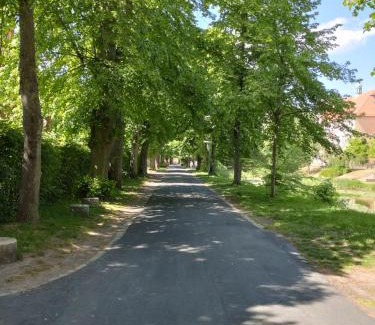 Nienburg/Weser Appartement | Apartment zum Garten