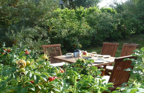 Lohme Appartement | Appartement 62 m², 3 pièces + salle de bain, jardin, vue mer, situation calme sur la Nationalp