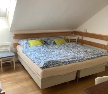 Turnov Appartement | Apartments Šimákova Vila