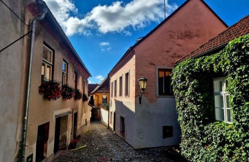 Trebic Appartement | Apartments Aron Stinná