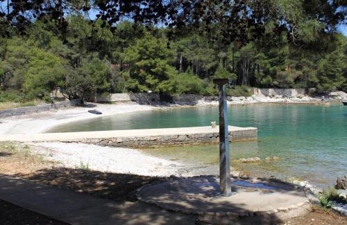 Artatore Appartement | Apartments by the sea Artatore, Losinj - 7934