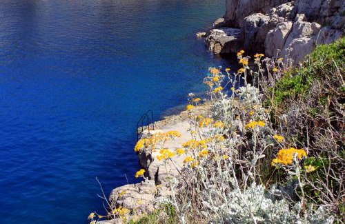 Veli Losinj Appartement | Apartments by the sea Veli Losinj, Losinj - 7959