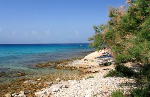 Susica Appartement | Apartments by the sea Susica, Ugljan - 841