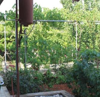 Ugljan Appartement | Apartments by the sea Ugljan - 8264