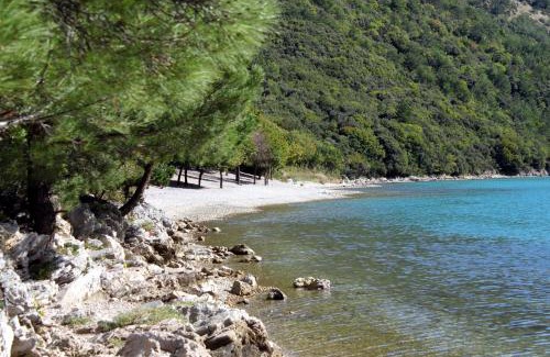 Krsan Appartement | Apartments for families with children Blaskovici, Central Istria - Sredisnja Istra - 12398