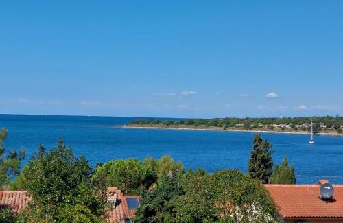 Dajla Appartement | Apartments Henc