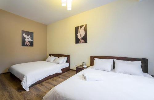 Lviv City Center Appartement | Аpartments in the center (Mytna square)