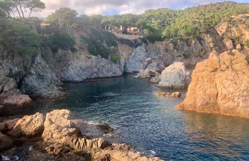 Tossa de Mar Appartement | Apartments in the forest with sea view