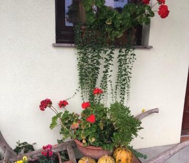 Salovci Appartement | Apartments Mali Raj