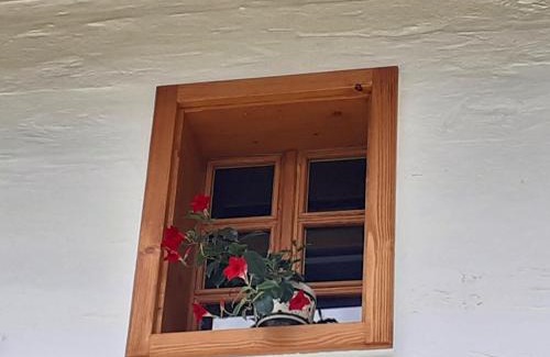 Bostanj Chalet De Ski | Apartments Pajek & Pajčevina on the Hayrack