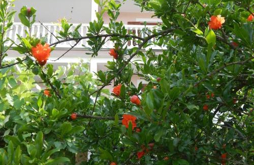 Vilanija Appartement | Apartments Vilanija