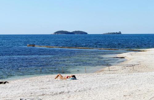 Borik Appartement | Apartments with parking space Rovinj - 3393