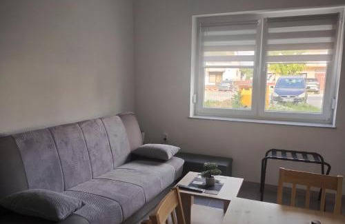 Otok Appartement | Apartments with parking space Otok, Slavonija - 24625