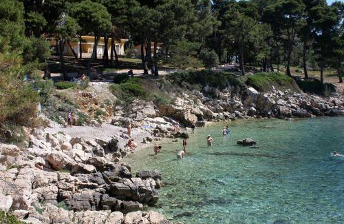 Suha Punta Appartement | Apartments with parking space Suha Punta, Rab - 17239
