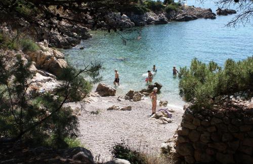 Suha Punta Appartement | Apartments with parking space Suha Punta, Rab - 17239